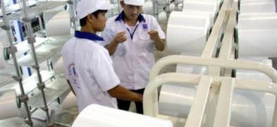 Thị trường sợi đón nguồn cung mới